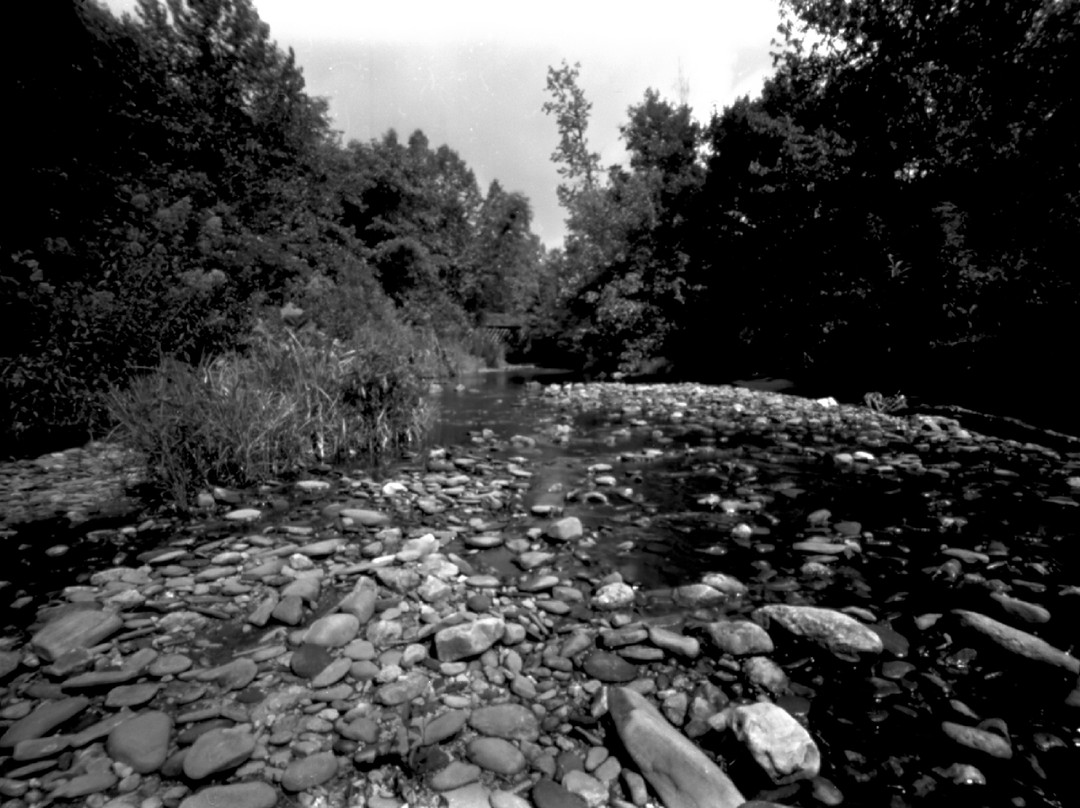 Smithgall Woods Conservation Area-海伦必去景点