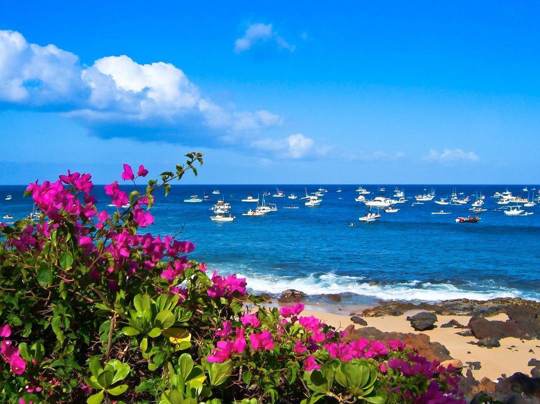 Dixie Maru Beach (Kapukahehu)-摩洛凯岛必去景点