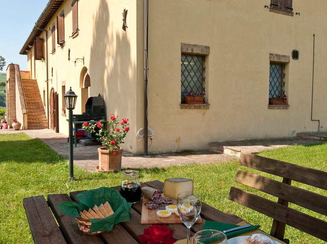 Podere Canapaccia