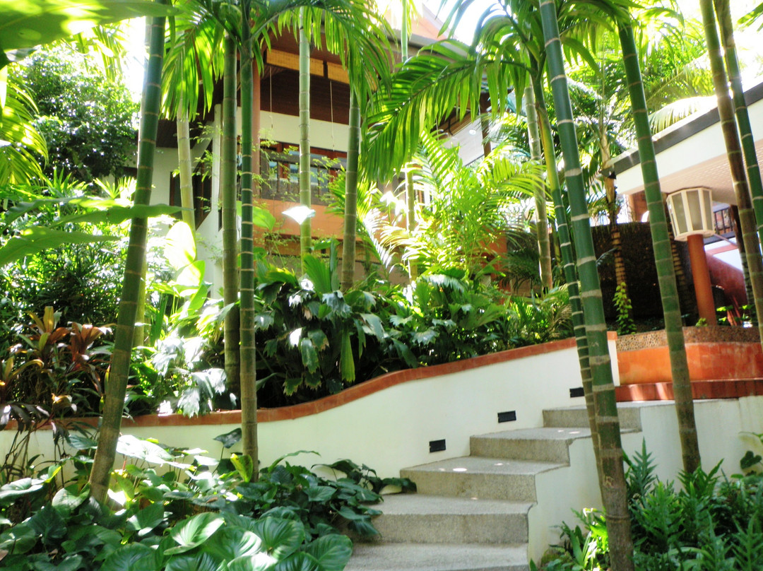 三妈妈的皇家水疗-卡塔海滩必去景点