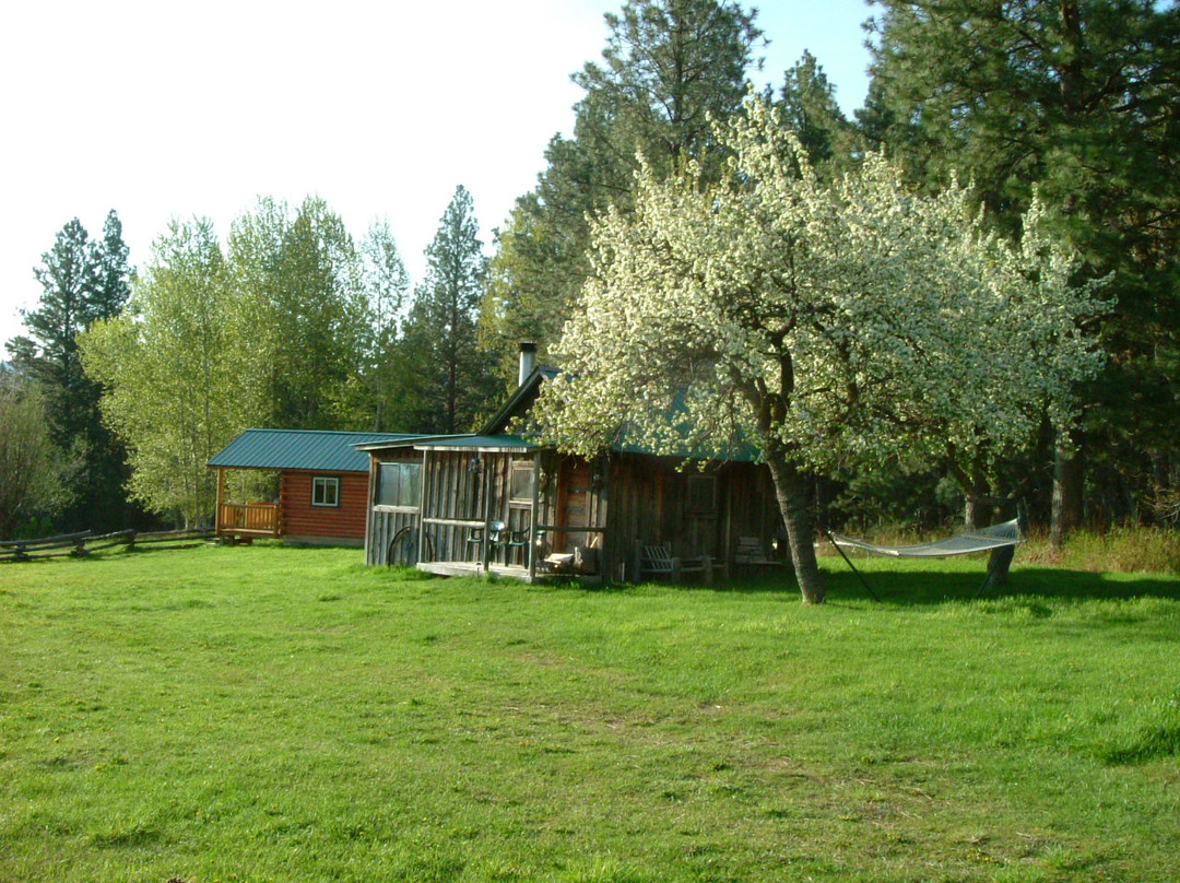 The Cabins at Deer Crossing主图