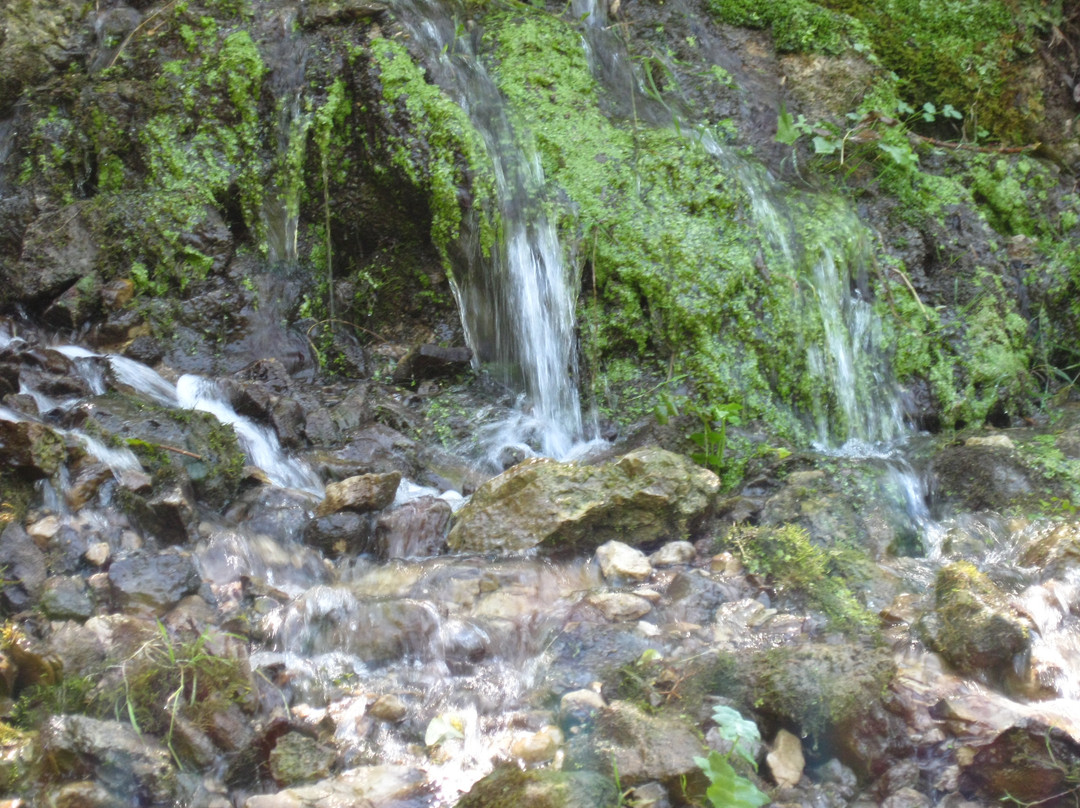 Grotte di Pertosa-Auletta景点图片