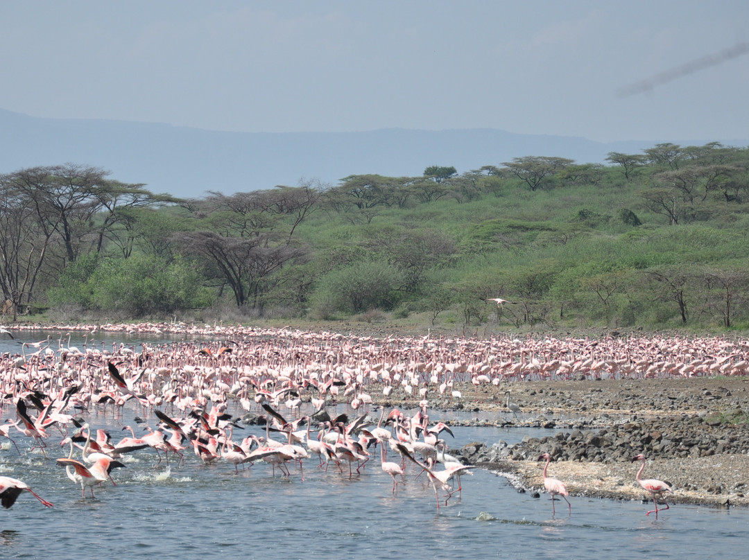 Lake Bogoria-Baringo District必去景点