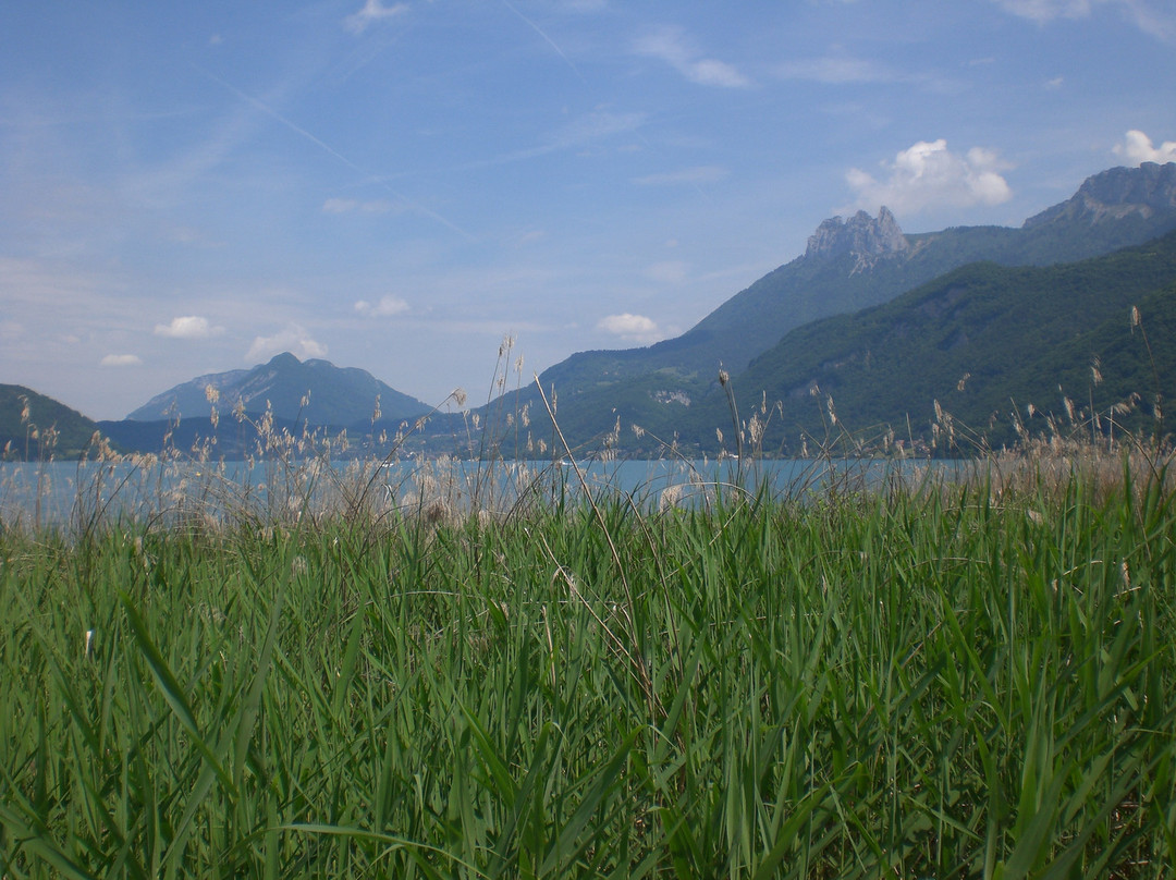 Reserve Naturelle du Bout du Lac景点图片