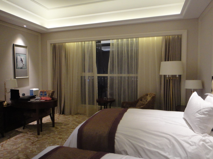 国丰维景国际大酒店主图