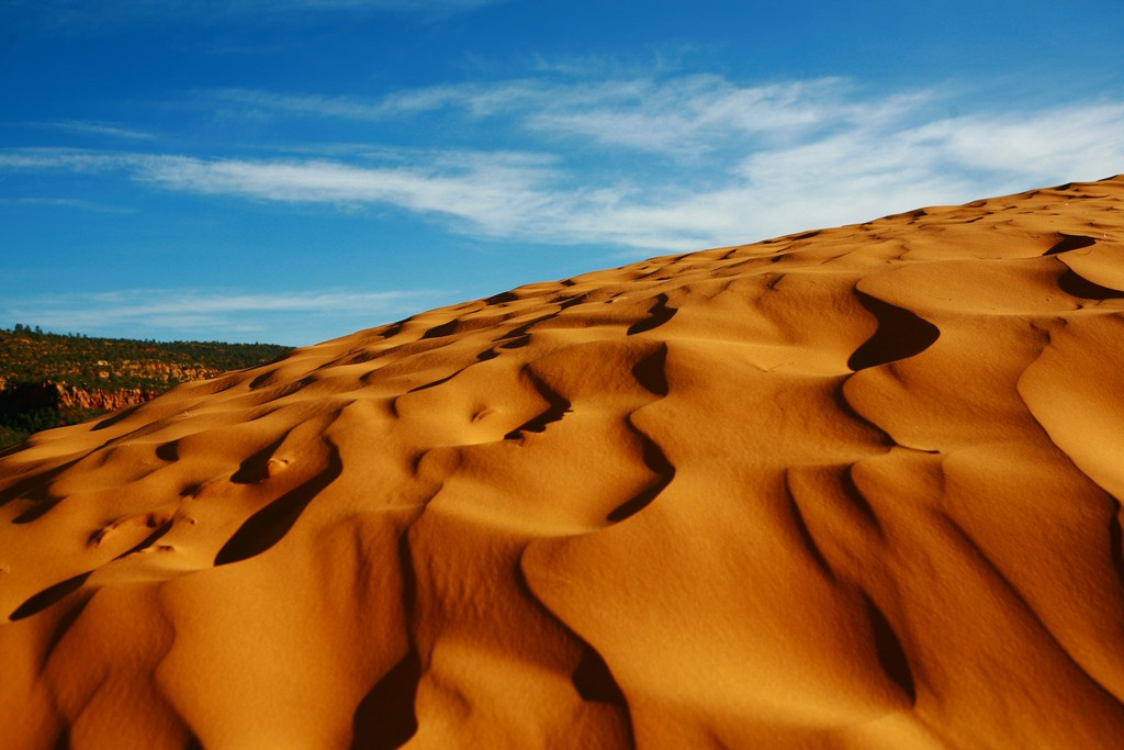 Coral Pink Sand Dunes State Park-卡纳布必去景点