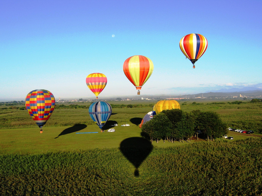 Watarase Yusuichi-野木町必去景点