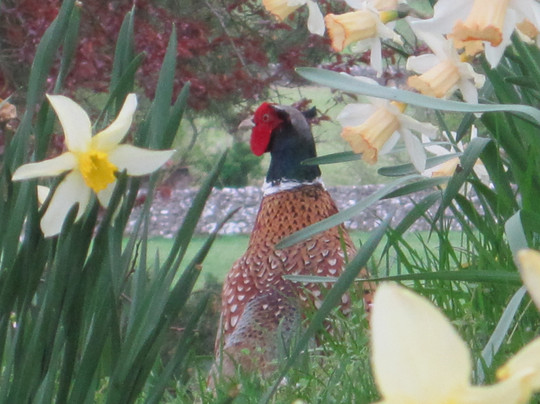 Coniston Cold酒店住宿-The Old Station
