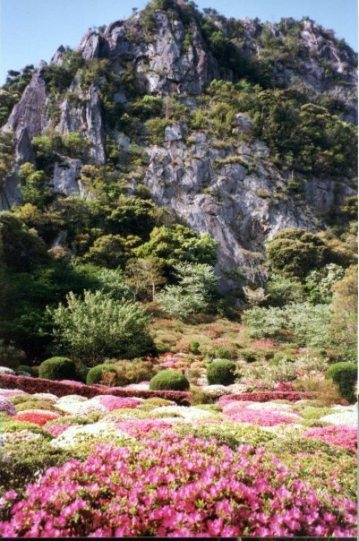 Mifuneyama Rakuen景点图片