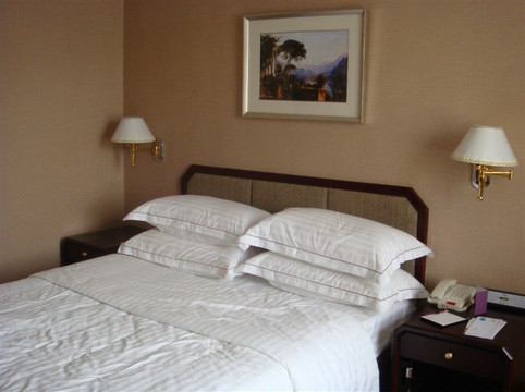 大连泰达美居酒店主图