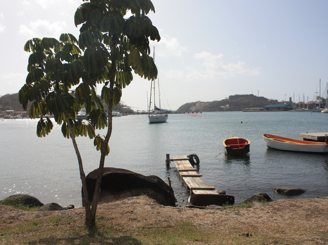 Chris's Tours and Taxi-St. George's必去景点