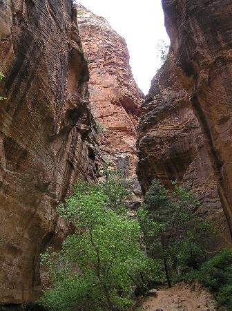 纽约湾海峡-锡安国家公园必去景点