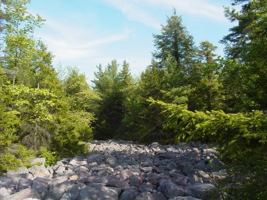 Hickory Run State Park景点图片