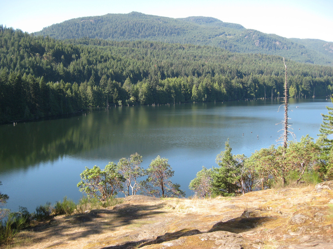 Westwood Lake Park景点图片