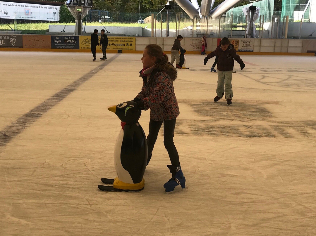 Ice Park Beaufort