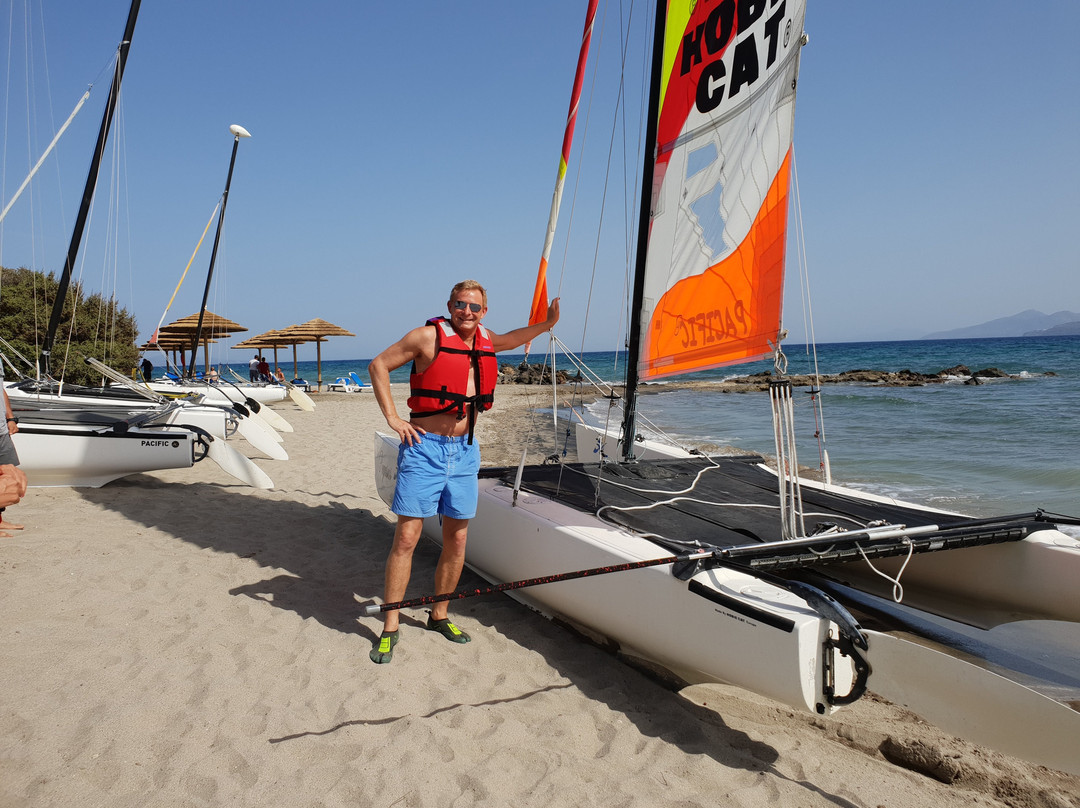 Robinson Daidalos主图