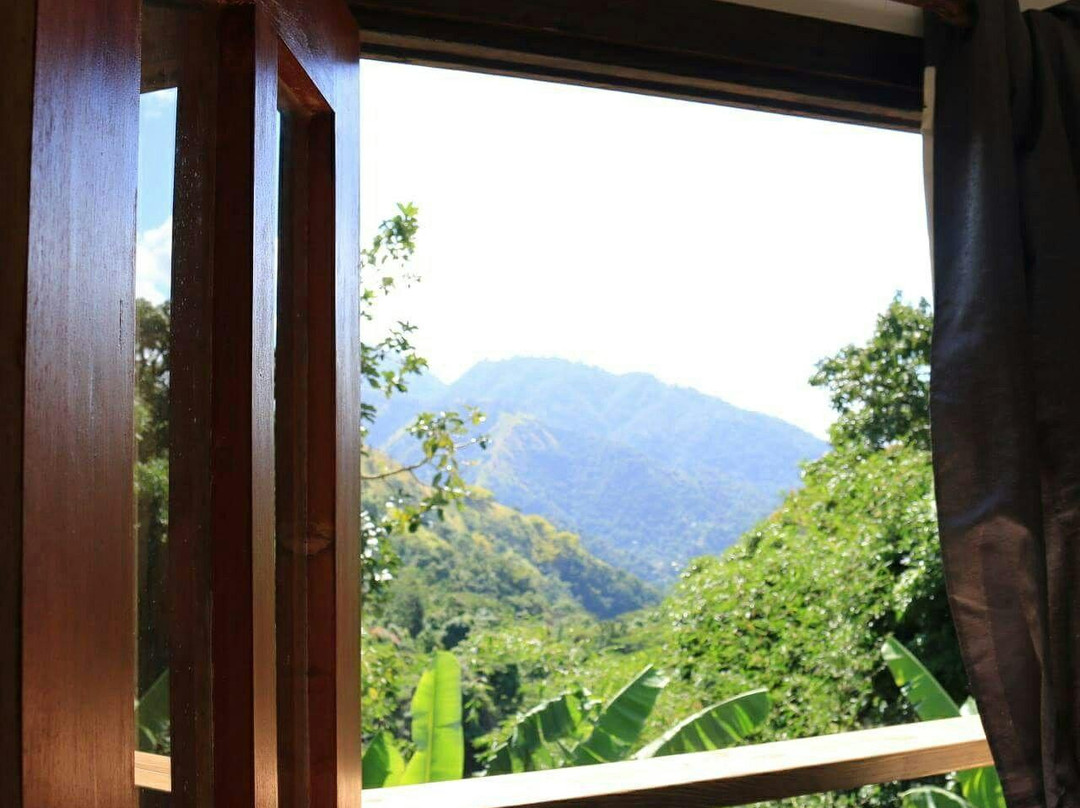 BlueMountView Guesthouse