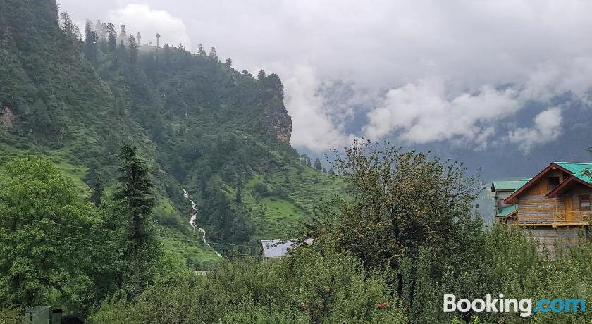 Solang Valley Camp