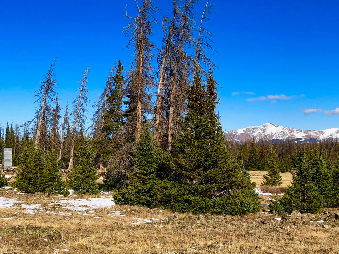 Soldierstone Vietnam War Memorial-Saguache必去景点