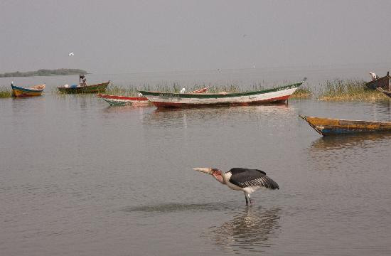 Lamadai旅游攻略图片