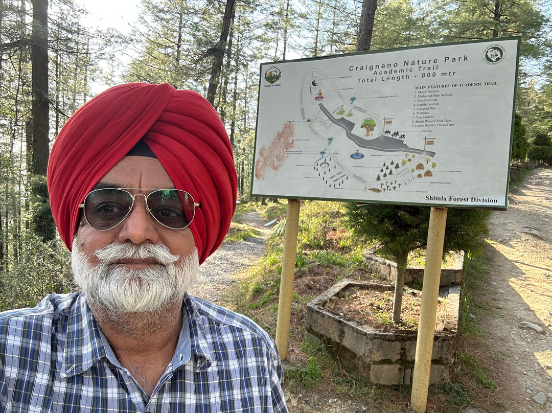 Woodstock Resort主图