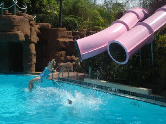 Adventure Island-坦帕必去景点