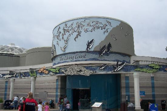 Brookfield Zoo-Brookfield必去景点