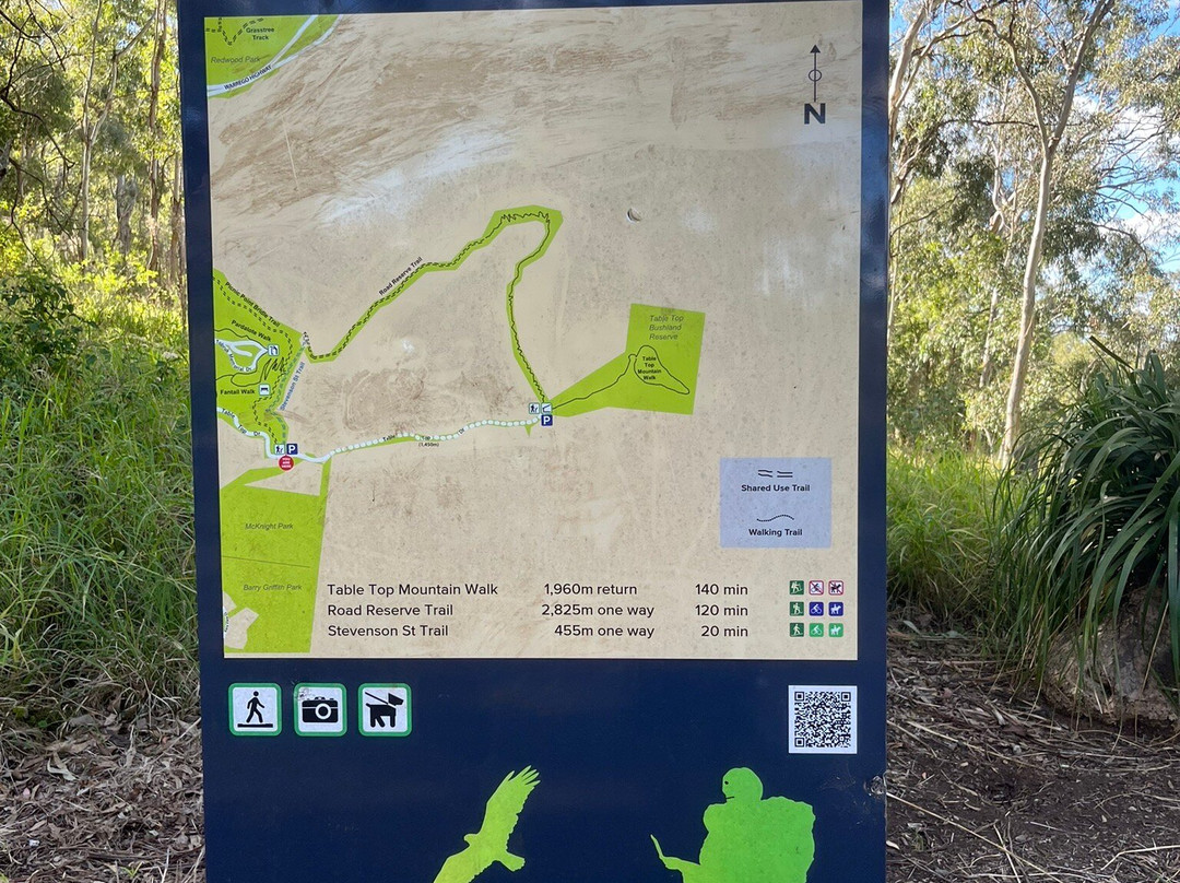 Table Top Mountain-图沃柏必去景点