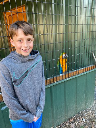 Chestatee Wildlife Preserve & Zoo-达洛尼加必去景点