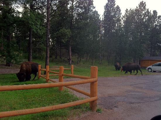 Legion Lake-卡斯特必去景点