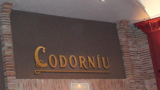 Caves Anna d’ Codorniu景点图片