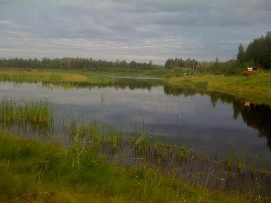 Wedgewood Wildlife Sanctuary-费尔班克斯必去景点