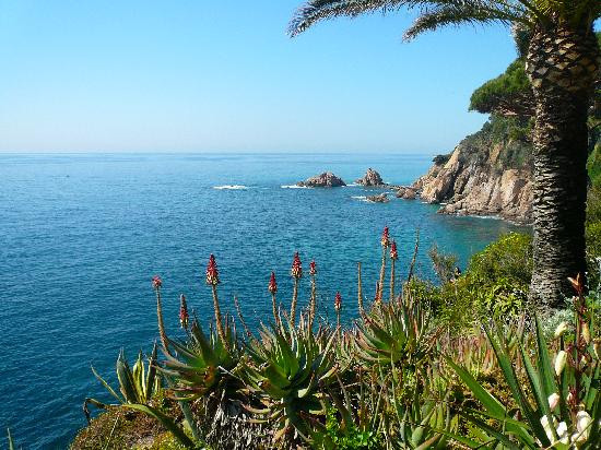 Jardí Botànic Marimurtra-布拉内斯必去景点