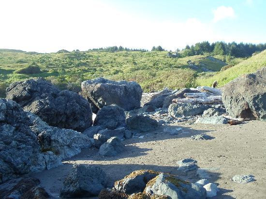 Lone Ranch Beach-布鲁金斯必去景点