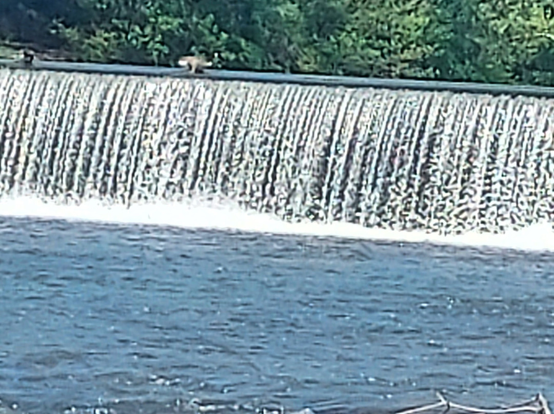 Grand Falls-乔普林必去景点