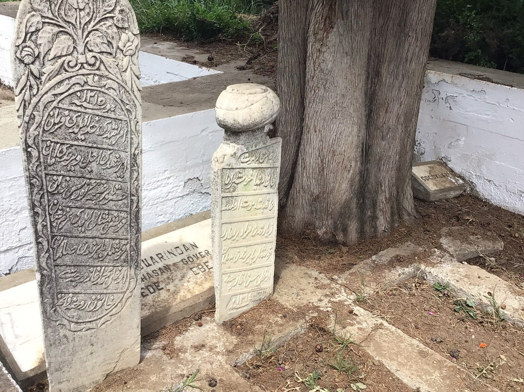 Tahtacilar Village Tahtaci Turkmen Historical Cemetery-埃德雷米特必去景点
