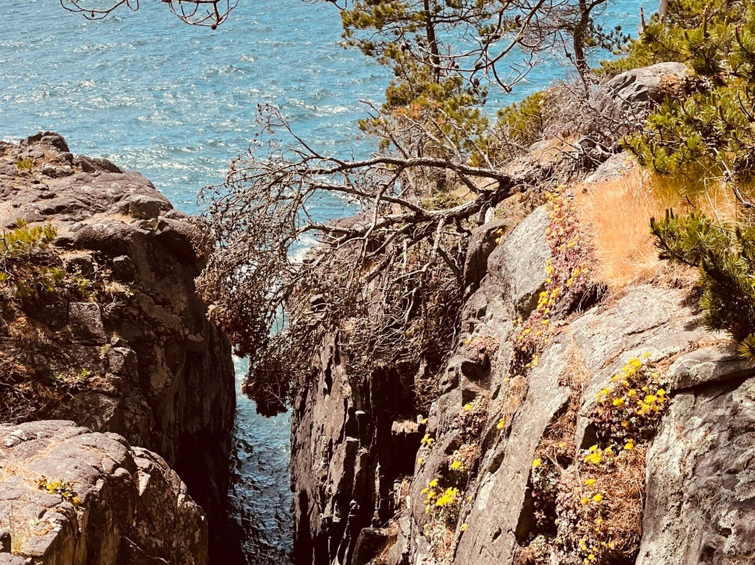 East Sooke Regional Park景点图片