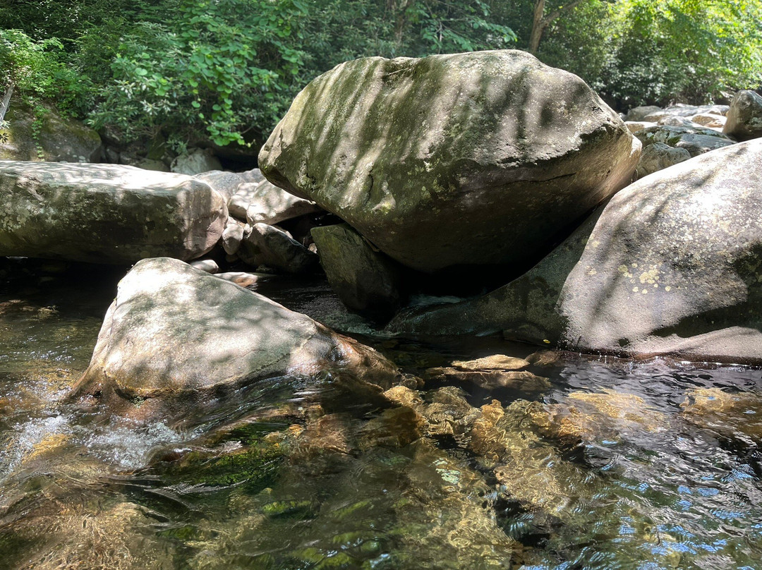 Chimneys Picnic Area-大雾山国家公园必去景点