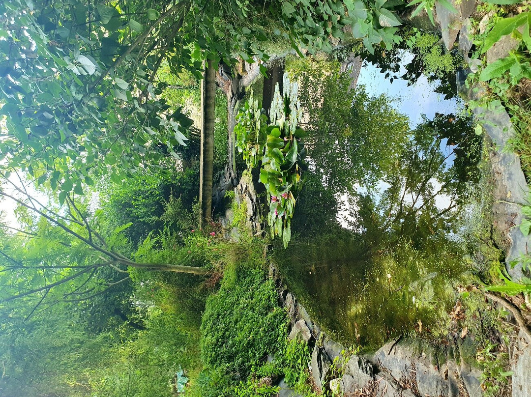 Moulin de Gaubourg主图