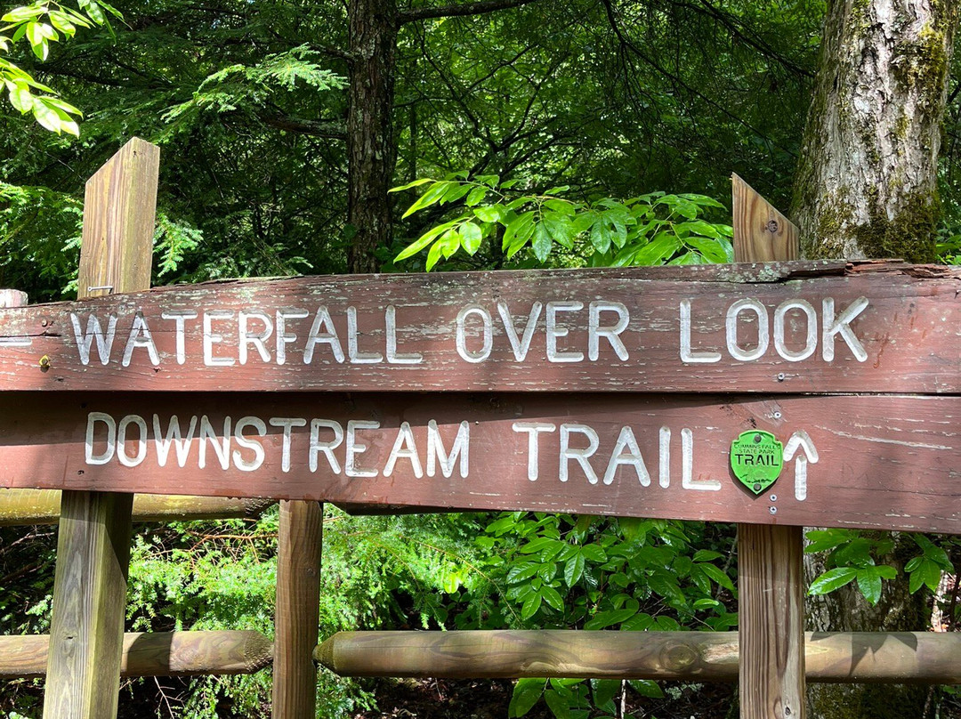 Cummins Falls State Park-库克维尔必去景点