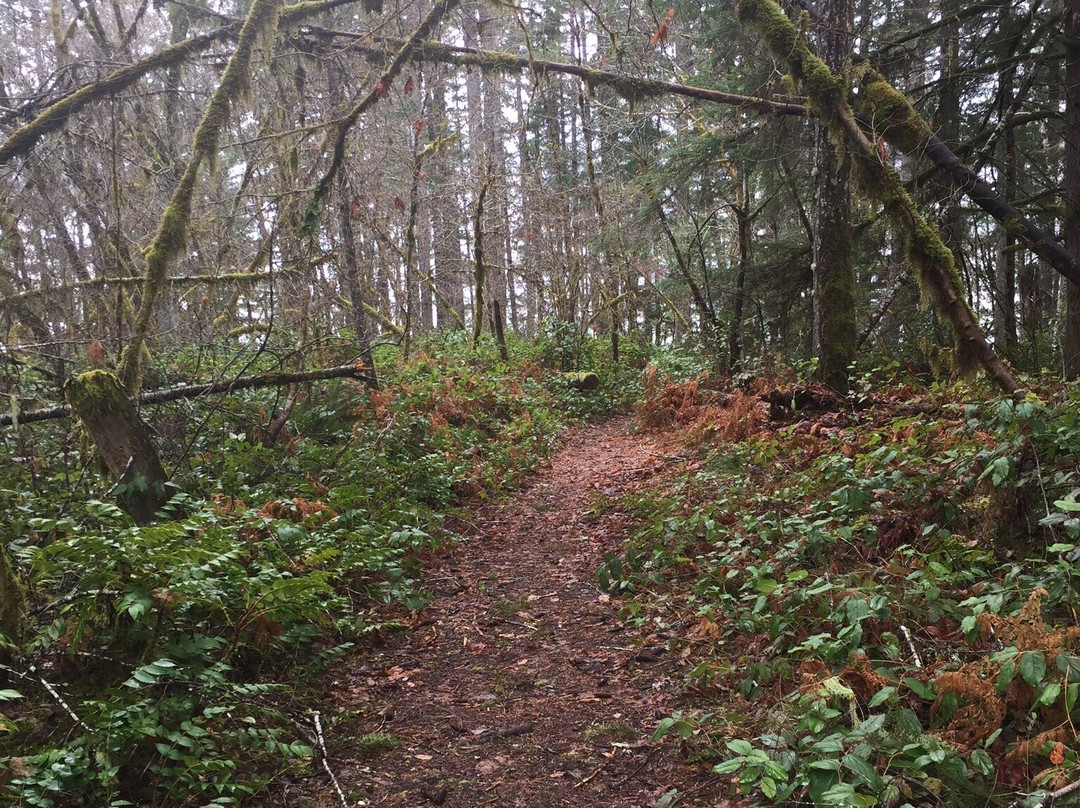 Sproat Lake Provincial Park景点图片
