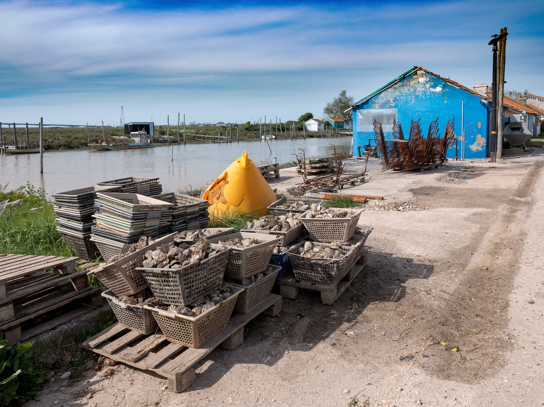 Port Ostréïcole De Marennes景点图片