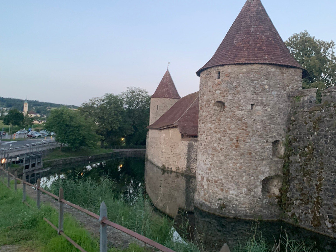 Schloss Hallwyl-Seengen必去景点