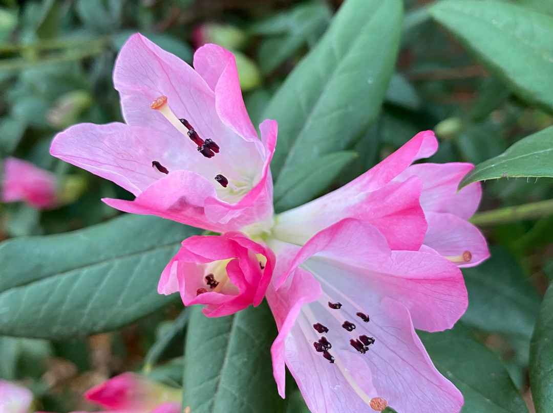 St John's Anglican Church-曼斯菲尔德必去景点