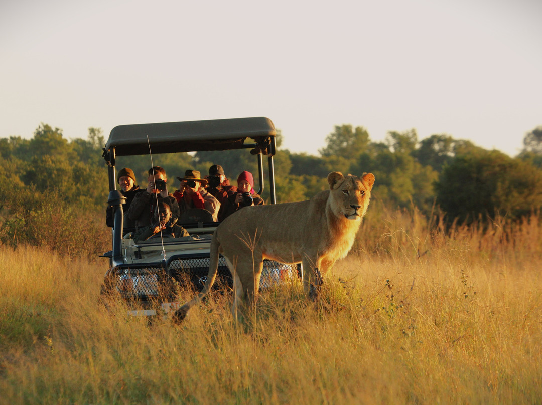 African Safari Guru-开普敦中心区必去景点