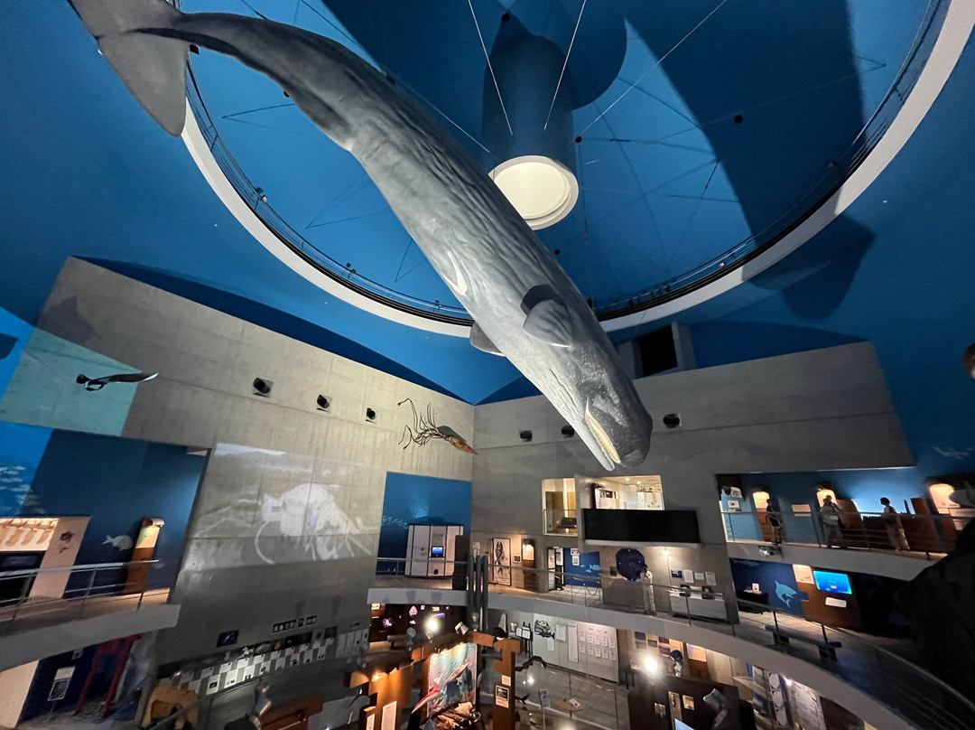 Whales and Science of the Sea Museum-山田町必去景点