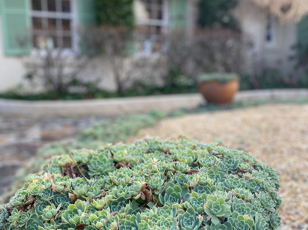 Silvermere Bed and Breakfast主图