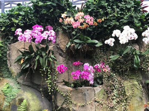 巴厘兰花园-登巴萨必去景点