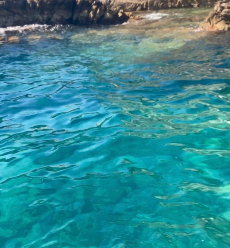 Sanary Aventure Marine-滨海萨纳里必去景点