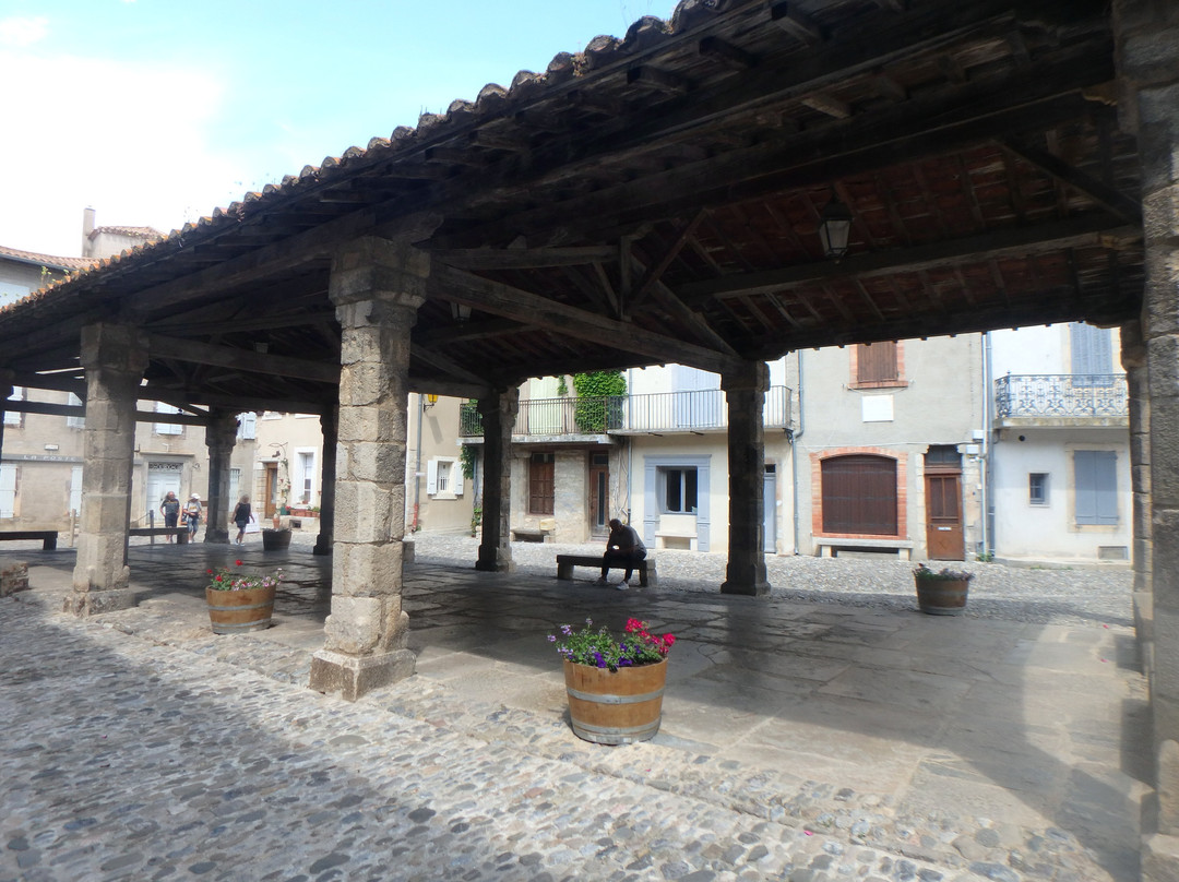 Halles De Lagrasse景点图片